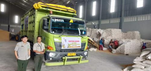 Bantu Peternak Ayam, Kementan dan Bulog Distribusikan 5.000 Ton Jagung